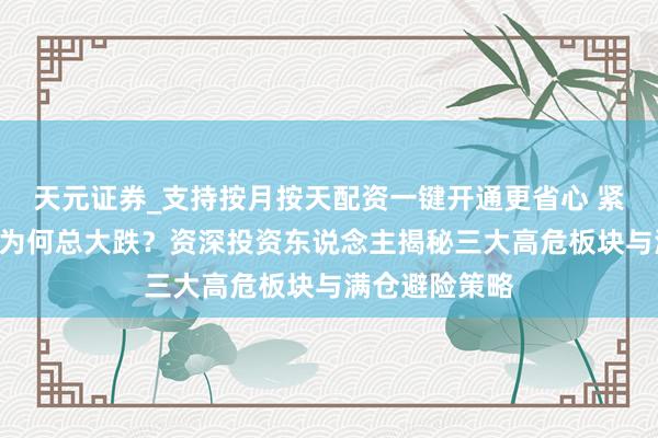 天元证券_支持按月按天配资一键开通更省心 紧迫会议后A股为何总大跌？资深投资东说念主揭秘三大高危板块与满仓避险策略