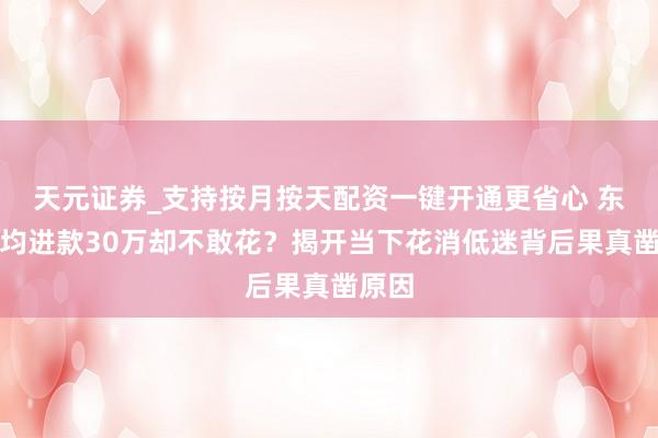 天元证券_支持按月按天配资一键开通更省心 东谈主均进款30万却不敢花？揭开当下花消低迷背后果真凿原因