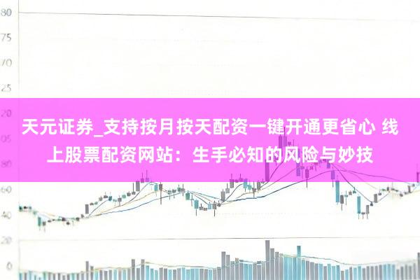 天元证券_支持按月按天配资一键开通更省心 线上股票配资网站：生手必知的风险与妙技