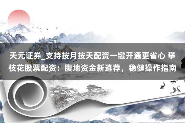 天元证券_支持按月按天配资一键开通更省心 攀枝花股票配资：腹地资金新遴荐，稳健操作指南