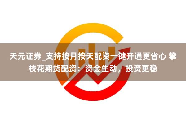 天元证券_支持按月按天配资一键开通更省心 攀枝花期货配资：资金生动，投资更稳