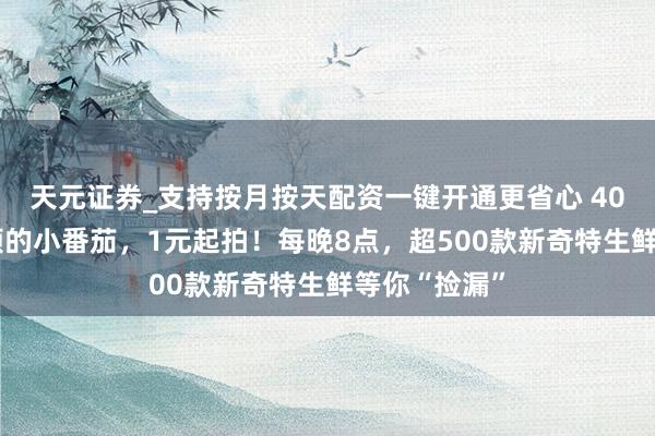 天元证券_支持按月按天配资一键开通更省心 400颗中出一颗的小番茄，1元起拍！每晚8点，超500款新奇特生鲜等你“捡漏”