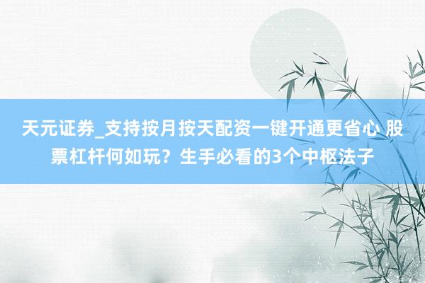 天元证券_支持按月按天配资一键开通更省心 股票杠杆何如玩？生手必看的3个中枢法子